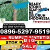 Distributor Rumput Imitasi Kenjeran.jpg