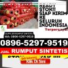 Penjual Rumput Imitasi Pasar Minggu.jpg