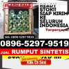 Grosir Rumput Imitasi Barito Tuhup Raya.jpg