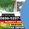 Agen Rumput Plastik Kedungreja.jpg