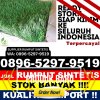 Gudang Rumput Palsu Kalimanggis.jpg