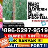 Distributor Rumput Imitasi Kesugihan.jpg