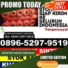 Jual Rumput Plastik Sula Besi Tengah.jpg