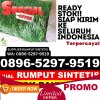 Penjual Rumput Plastik Guluk Guluk.jpg