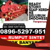 Jual Rumput Imitasi Sanggau Ledo.jpg