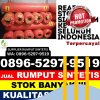 Jual Rumput Plastik Sumpur Kudus.jpg