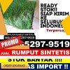 Penjual Rumput Plastik Gunung Timang.jpg