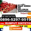 Grosir Rumput Sintetis Petarukan.jpg