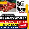 Jual Rumput Imitasi Seberang Kota.jpg