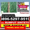 Distributor Rumput Imitasi Kota Bengkulu.jpg