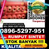 Jual Rumput Plastik Sungai Pua.jpg