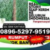 Agen Rumput Plastik Kinali.jpg