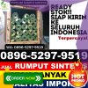 Pusat Rumput Plastik Belida Darat.jpg