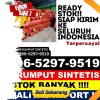 Penjual Rumput Imitasi Pesisir Selatan.jpg