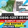 Penjual Rumput Plastik Indralaya Selatan.jpg