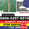 Distributor Rumput Imitasi Kotawaringin Lama.jpg