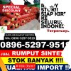 Penjual Rumput Imitasi Ponggok.jpg