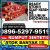 Grosir Rumput Sintetis Pulau Maya.jpg