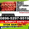 Jual Rumput Imitasi Seruyan Tengah.jpg