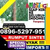 Distributor Rumput Imitasi Kuala.jpg