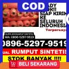 Jual Rumput Plastik Tanete Riattang Timur.jpg