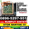 Pusat Rumput Plastik Bohorok.jpg