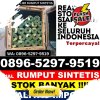 Grosir Rumput Imitasi Bongan.jpg