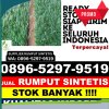 Agen Rumput Plastik Kota Tanjung Pinang.jpg