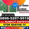 Distributor Rumput Imitasi Kunjang.jpg