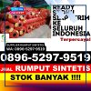 Penjual Rumput Imitasi Pulau Laut Tanjung Selayar.jpg