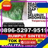 Penjual Rumput Plastik Jereweh.jpg