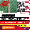 Distributor Rumput Imitasi Labang.jpg