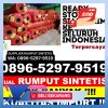 Penjual Rumput Imitasi Punggelan.jpg