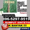 Agen Rumput Plastik Kuantan Mudik.jpg