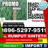 Distributor Rumput Imitasi Lamposi Tigo Nagori.jpg