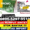 Pusat Rumput Imitasi Jailolo.jpg