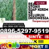 Agen Rumput Plastik Kuta Makmur.jpg