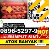 Jual Rumput Imitasi Singkep Selatan.jpg