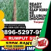 Distributor Rumput Imitasi Lawe Sumur.jpg