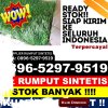 Penjual Rumput Plastik Kabupaten Batang.jpg