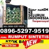 Distributor Rumput Plastik Alasa Talu Muzoi.jpg