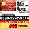 Jual Rumput Imitasi Sitiung.jpg