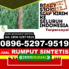 Distributor Rumput Imitasi Lempuing Jaya.jpg