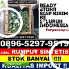 Pusat Rumput Plastik Carenang.jpg