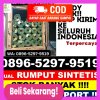 Distributor Rumput Plastik Anjir Pasar.jpg