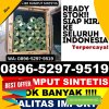 Gudang Rumput Sintetis Banyuanyar.jpg