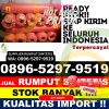 Jual Rumput Imitasi Sorkam.jpg