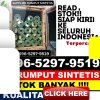 Grosir Rumput Imitasi Cidolog.jpg