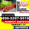 Grosir Rumput Sintetis Samarinda Utara.jpg