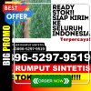 Agen Rumput Plastik Lemahabang.jpg